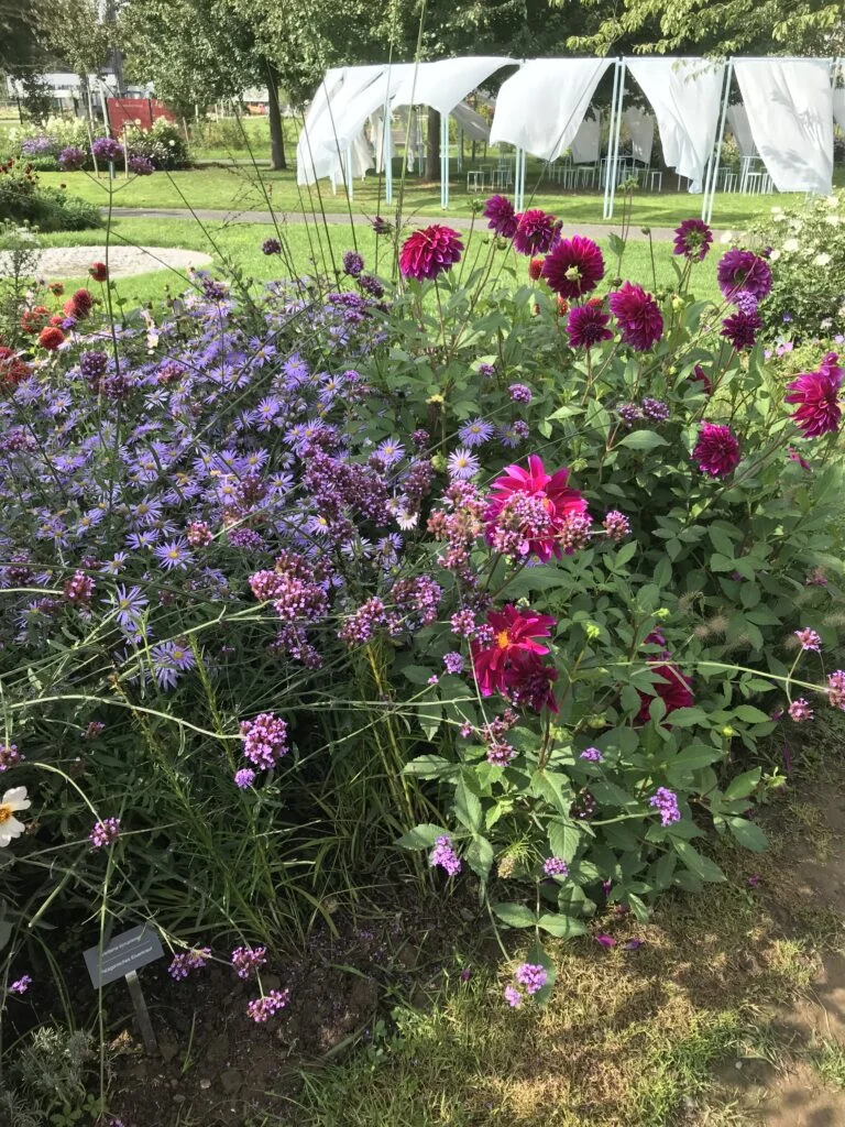 Blumenbeet auf der Landesgartenschau in Neuss.